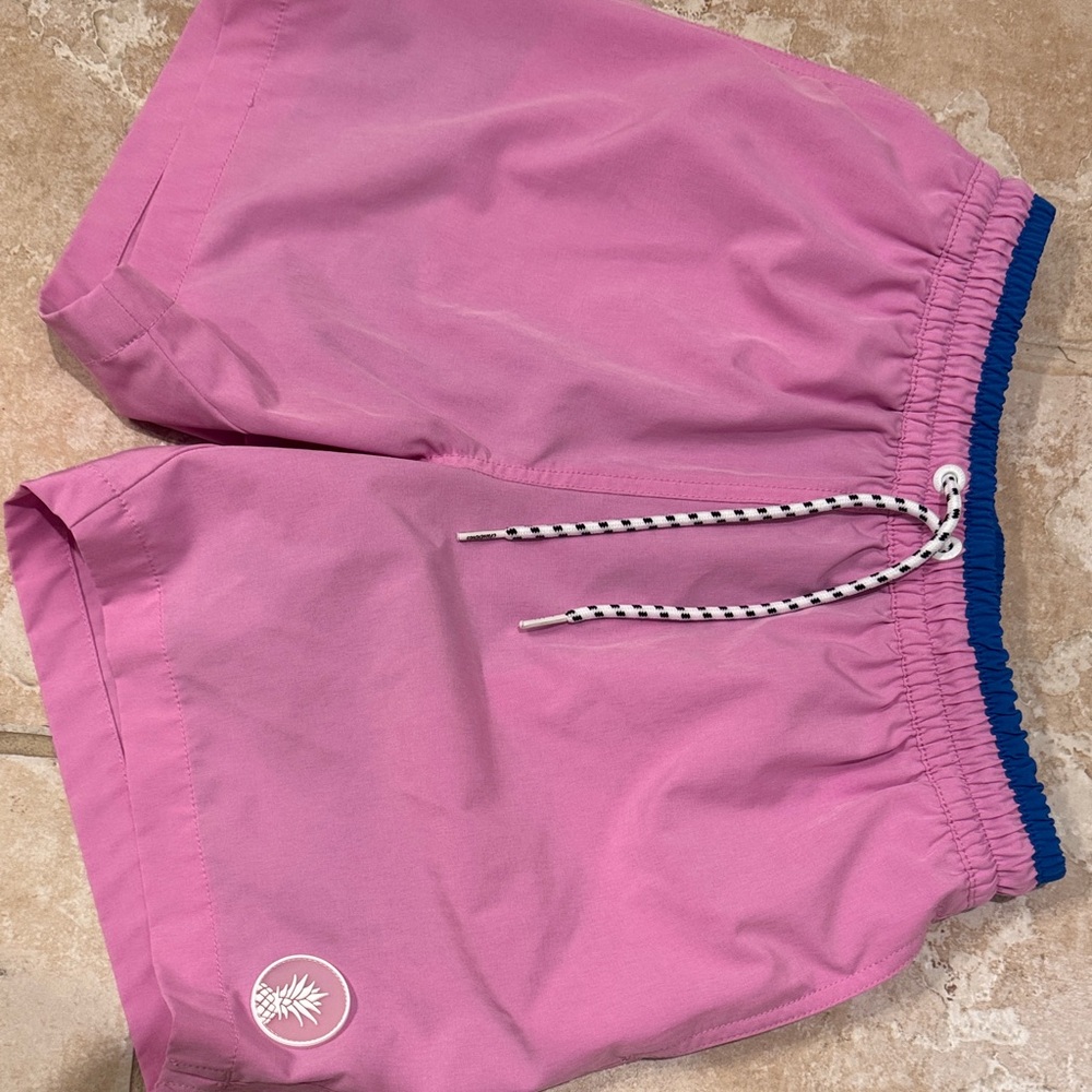 Chubbies Pink and Blue Swim Shorts w/ liner